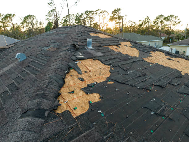 Best Roof Coating and Sealing  in Brookdale, SC